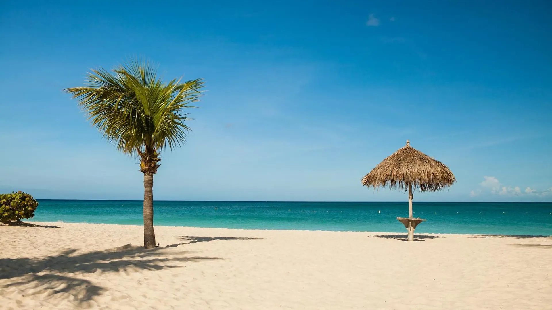 Stunning 6-Bedroom Villa In Aruba Palm Beach Aruba